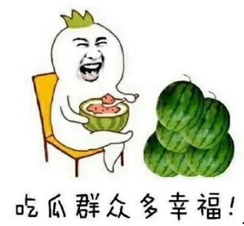 娱乐圈可以吃瓜