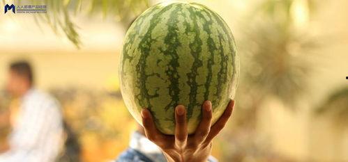 娱乐圈可以吃瓜